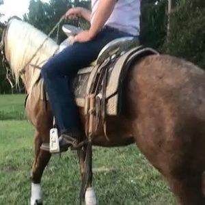 Meet your Posher, Angel